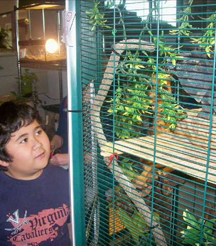 Herpetology Science Lab! A real Komoto Dragon! Herpetology Science Lab! A real Komoto Dragon!