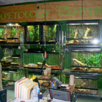 A Herpetology room! Live snakes, lizards, turtles, fish.....OH MY! A Herpetology room! Live snakes, lizards, turtles, fish.....OH MY!