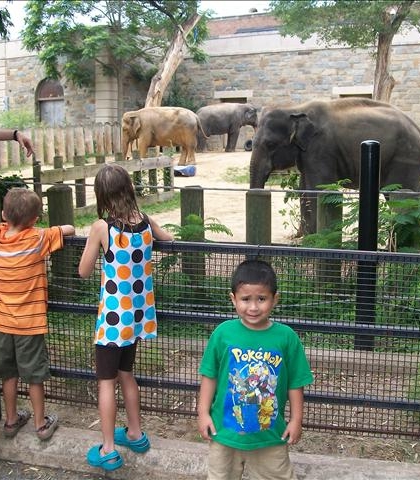 Summer 2010 trip to the Zoo in Washington D.C! Note the expression!?