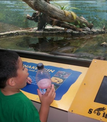 Summer 2010 trip to the Snake house at the Zoo in Washington, DC! Note the expression!?