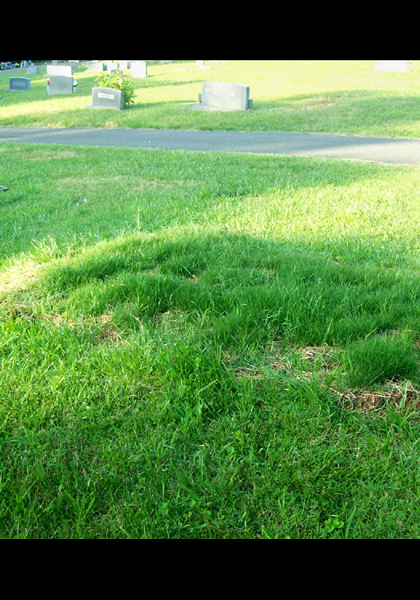 The grassy knoll that was there after his gravesite was taken down! Something had to be done to remember this great leader! The grassy knoll that was there after his gravesite was taken down! Something had to be done to remember this great leader!