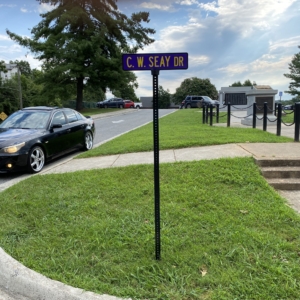 I had to drive by and see the new C.W.Seay street sign! It is beautiful, and if it is not too clear, it is purple and gold! Seeing this sign along with all the other memorials brought a tear to my eye!