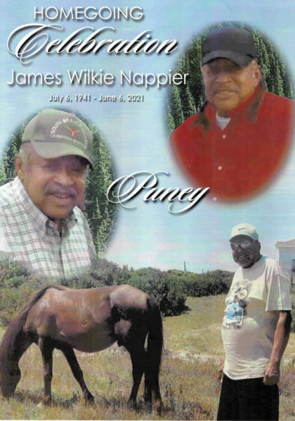 James Wilkie "Puney" Nappier
